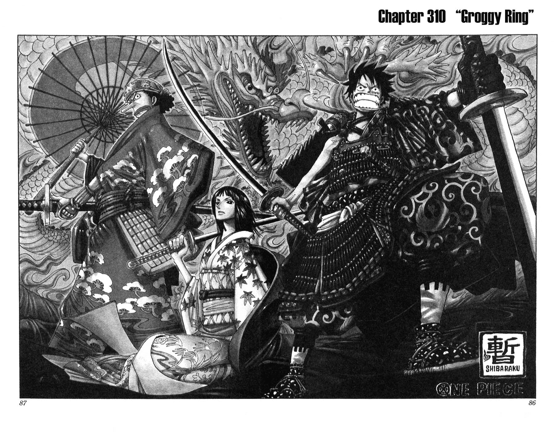 One Piece, Chapter 310 image 02